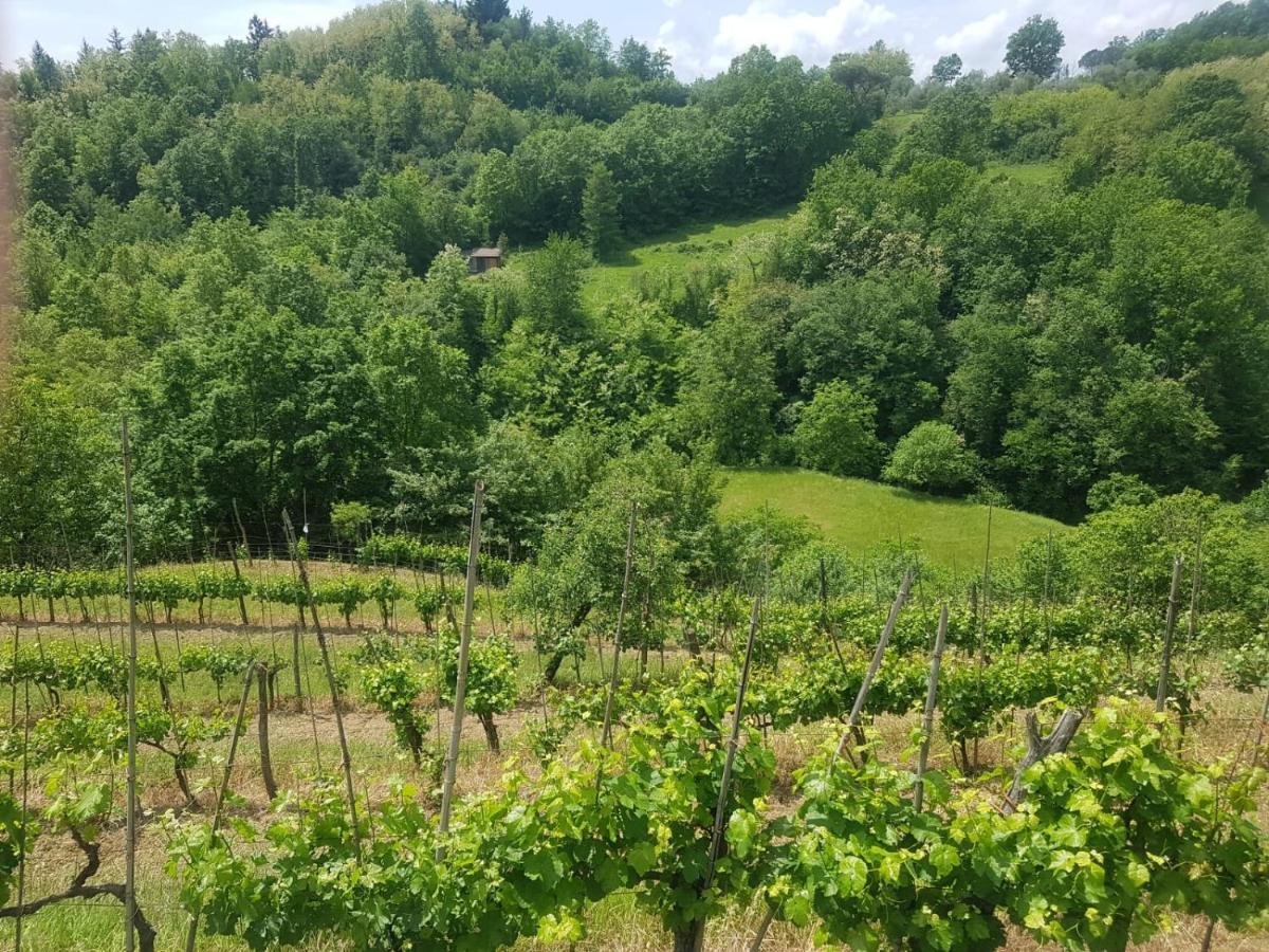Casa Del'Orto Villa Bigliolo Luaran gambar